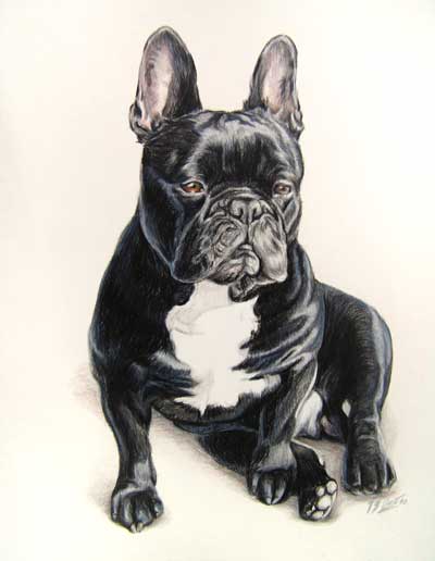 Portrait artistique de Bouledogue franais